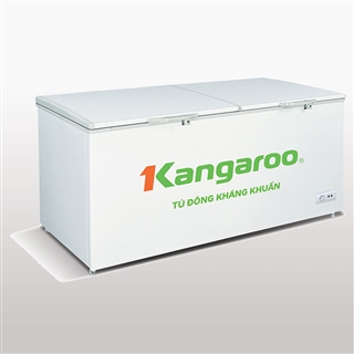 Tủ đông kháng khuẩn Kangaroo KG1009C1